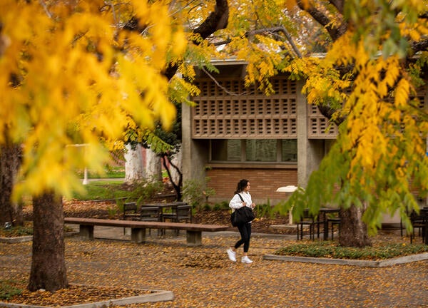 campus fall image